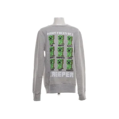 Sweatshirt (Grijs, Meerkleurig) van Minecraft Katoen, Polyester