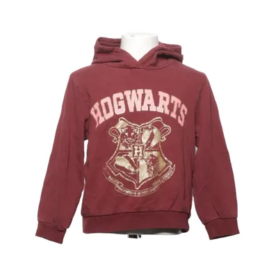 Capuchon sweater (Rood) van Harry Potter x H&M Katoen