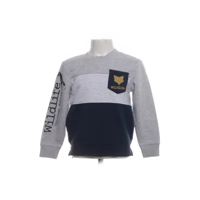 Sweatshirt (Gray) from Kids Cotton, Elastane, Polyester, Viscose