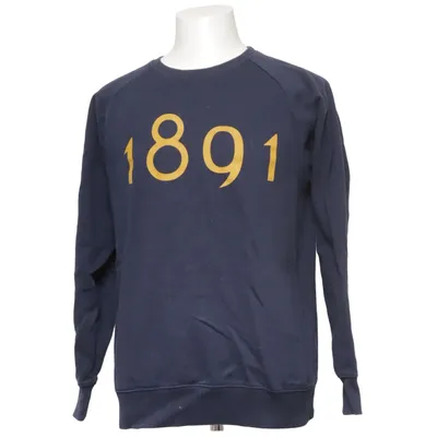 Collegetröja (Blå) från AIK Bomull, Polyester