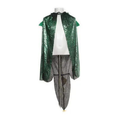 Fancy dress (Green, Multicolored) from Great Pretenders