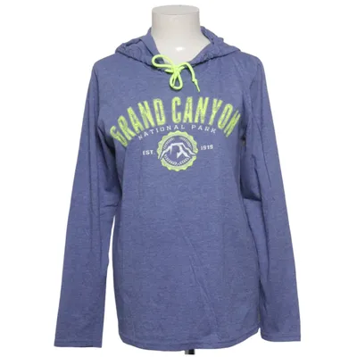Hoodie (Blue) from Anvil Cotton, Polyester