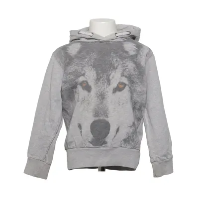 Hoodie (Gray) from Kids by Lindex Cotton