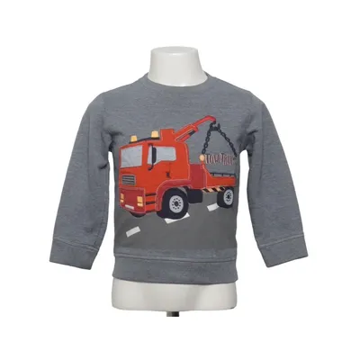 Sweatshirt (Gray, Multicolored) from Bluezoo Cotton, Polyester