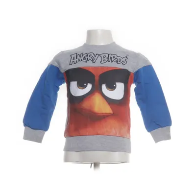 Collegetröja (Grå, Blå, Flerfärgad) från Angry Birds Bomull, Polyester