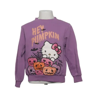 Sweatshirt (Lilla, Flerfarvet) fra H&M Bomuld, Polyester