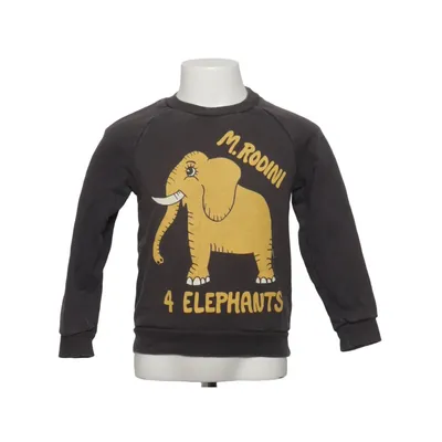 Sweatshirt (Grijs) van Mini Rodini Katoen