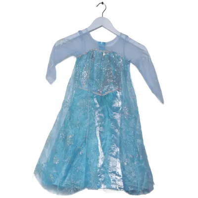 Fancy dress (Elsa) from Disneyland Paris