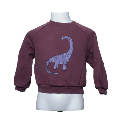 Sweatshirt (Violet) de Mini Rodini Coton