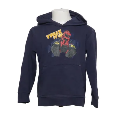 Hoodie (Blue) from Dreamworks Cotton, Polyester