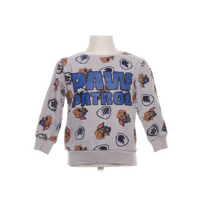 Sweatshirt (Grijs, Meerkleurig) van Nickelodeon Katoen, Polyester