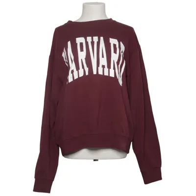 Collegetröja (Lila) från JanSport Polyester