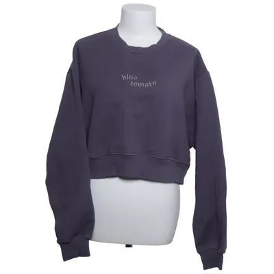 Sweatshirt (Grå) fra Blue Tomato
