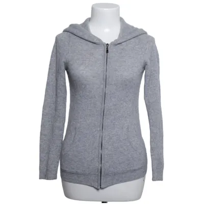 Huvtröja (Grå) från Authentic Cashmere Kashmir