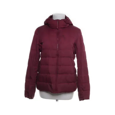 Lightweight jacket (Purple) from Uniqlo Nylon, Down