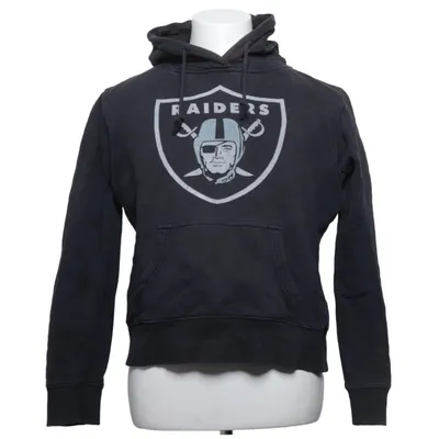 Hoodie (Gray) from NFL Team Apparel Cotton