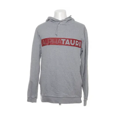 Hoodie (ATA18521 SHEN V1.Y2.02) from Alphatauri Cotton