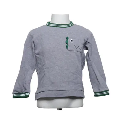 Sweatshirt (Gris, Vert) de Lacoste