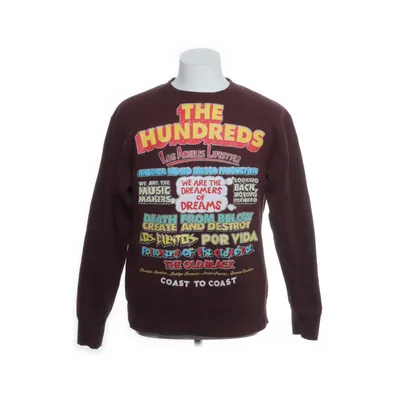 Collegetröja (Brun, Flerfärgad) från The Hundreds