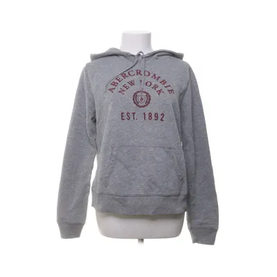 Hoodie (Gray) from Abercrombie & Fitch Cotton, Polyester