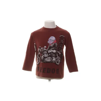 Långärmad t-shirt (Brun, Flerfärgad) från Zara Boys Collection