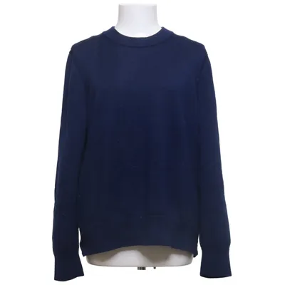 Sweater (Blue) from COS