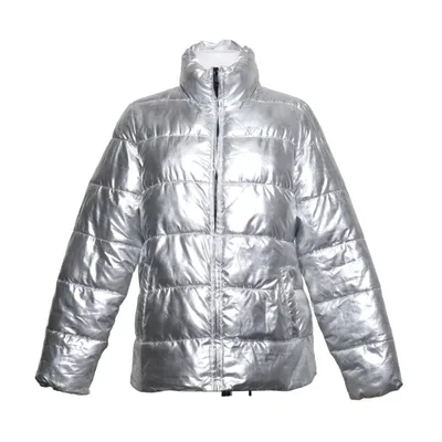 Vinterjacka (Silverfärgad) från Janina Polyester