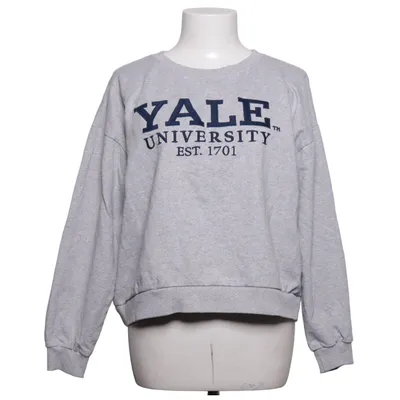 Sweatshirt (Grijs) van Yale Katoen, Polyester