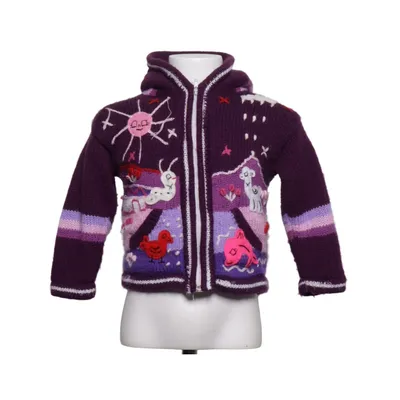 Hoodie (Purple, Multicolored) Wool