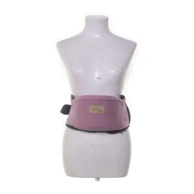 Reiswieg (Roze)