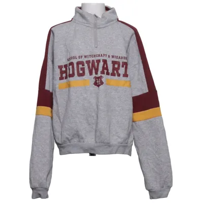 Sweatshirt (Gray, Multicolored) from Harry Potter x H&M Cotton, Polyester