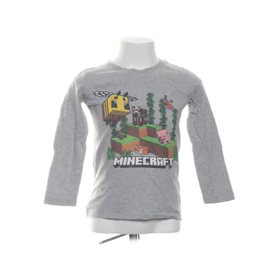 Långärmad t-shirt (Grå, Flerfärgad) från Minecraft Bomull