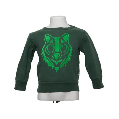 Sweatshirt (Green) from American Outfitters Cotton