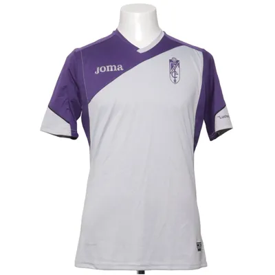 Football jersey (Gray, Purple) from Joma Polyester