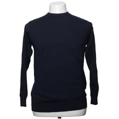 Sweater (Blue) from Pierre Cavallo Wool