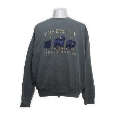 Collegetröja (Grå) från Pacsun Bomull, Polyester