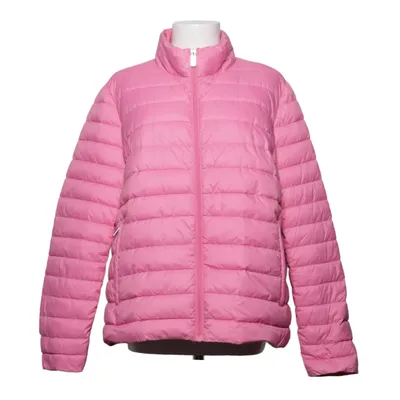 Dunjacka (Rosa) från Jette