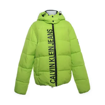 Winter jacket (Green) from Calvin Klein Jeans Polyester