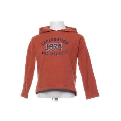 Sweat à capuche (Marron) Coton, Polyester