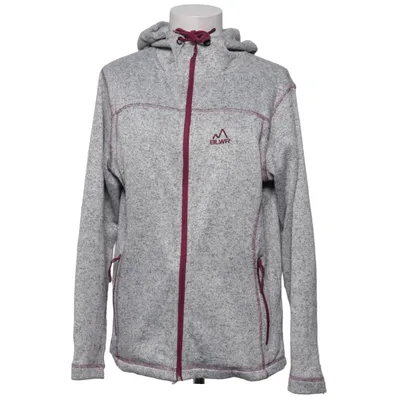 Capuchon sweater (Grijs) van BLWR Polyester