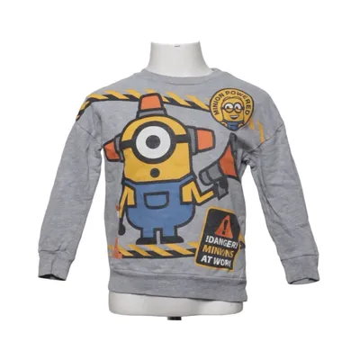 Sweatshirt (Grå, Flerfarvet) fra Illumination Bomuld, Elastan, Polyester