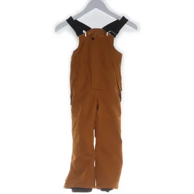 Snow pants (Brown) from Northville Polyester