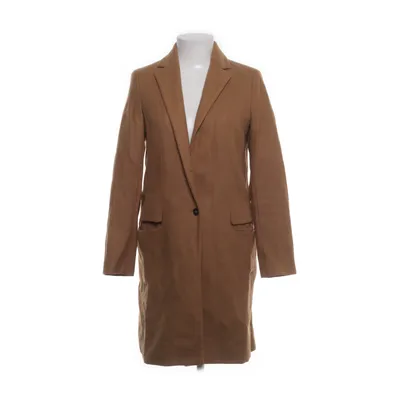 Coat (Brown) from Zara Basic