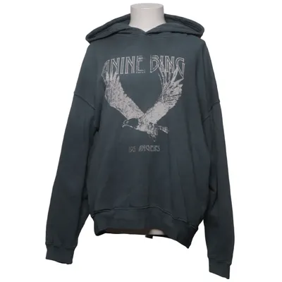 Hoodie (Green) from Anine Bing Organic cotton