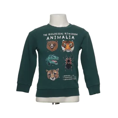 Sweatshirt (Green) from Kelzuki x H&M
