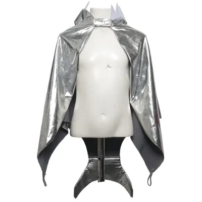 Fancy dress (Silver) from Rusta Polyester