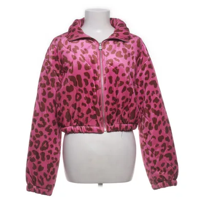 Dunjacka (Rosa, Brun)