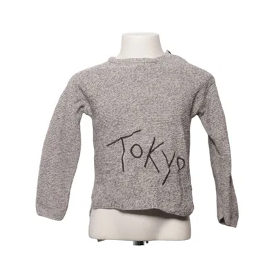 Trui (Grijs) van Zara Knitwear