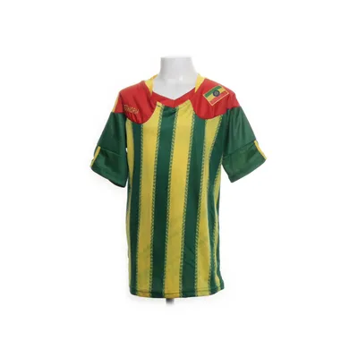 Football jersey (Multicolored) from Sport