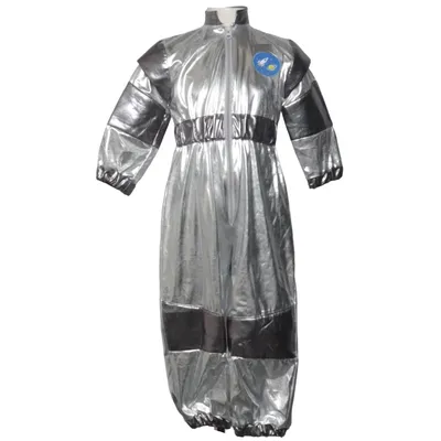 Maskeradkläder (Silverfärgad) från Zara Polyester
